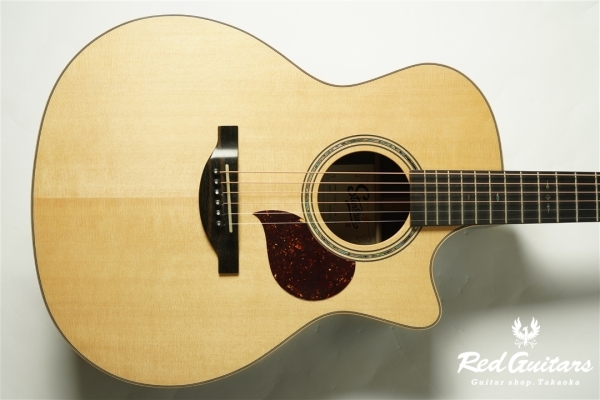 F130-GA Sitka Spruce / Indian Rosewood